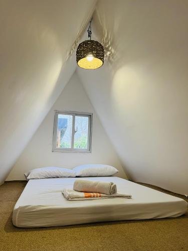 675876642_965444432869855_4546737289967086714_n